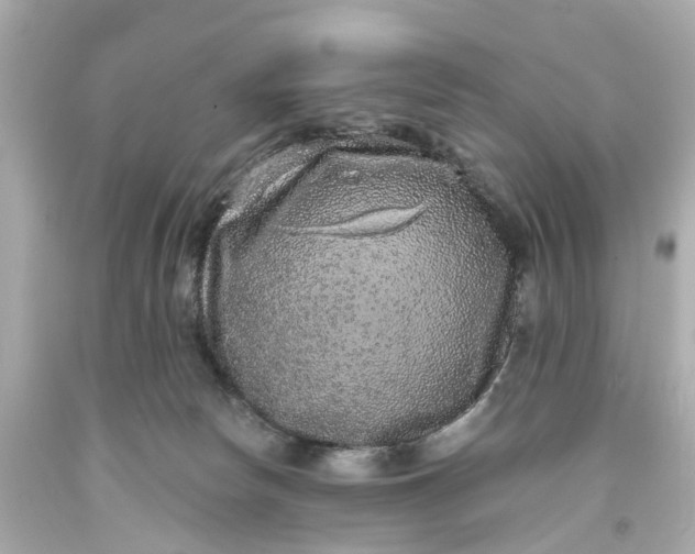 X0000093580178200710291109