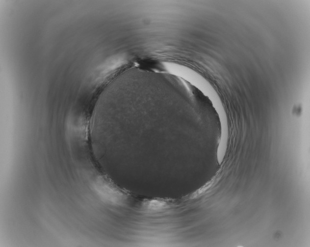 X0000093580180200710291109