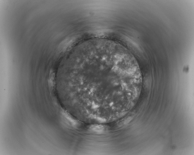 X0000093580181200710291109