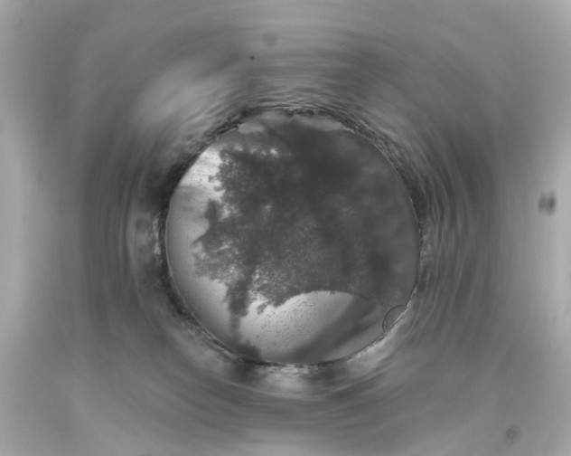 X0000093580182200710291109