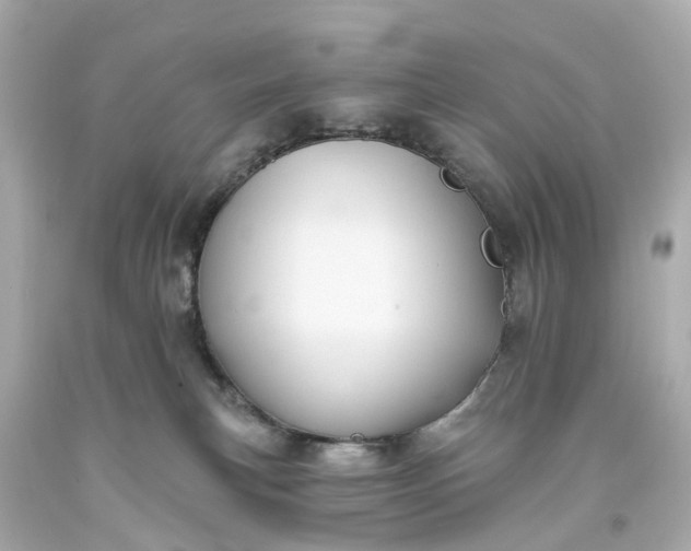 X0000093580183200710291109