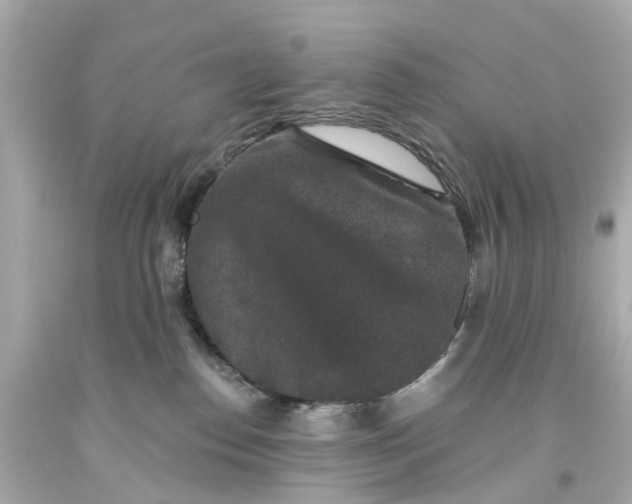 X0000093580186200710291109