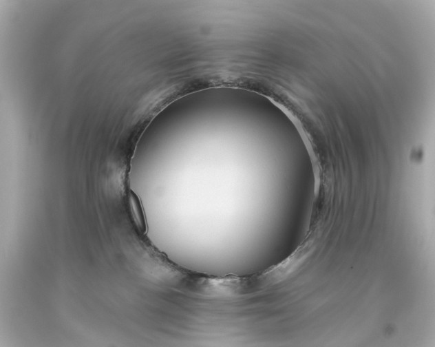 X0000093580188200710291109