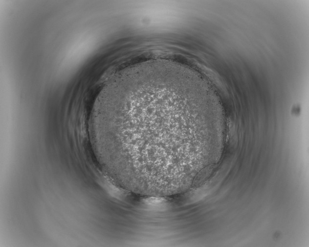 X0000093580189200710291109