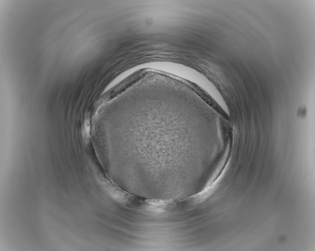 X0000093580190200710291109