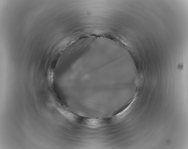 X0000093580191200710291109