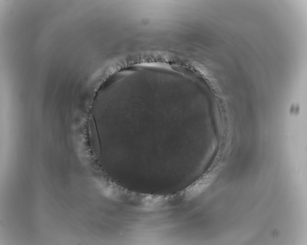 X0000093580192200710291109