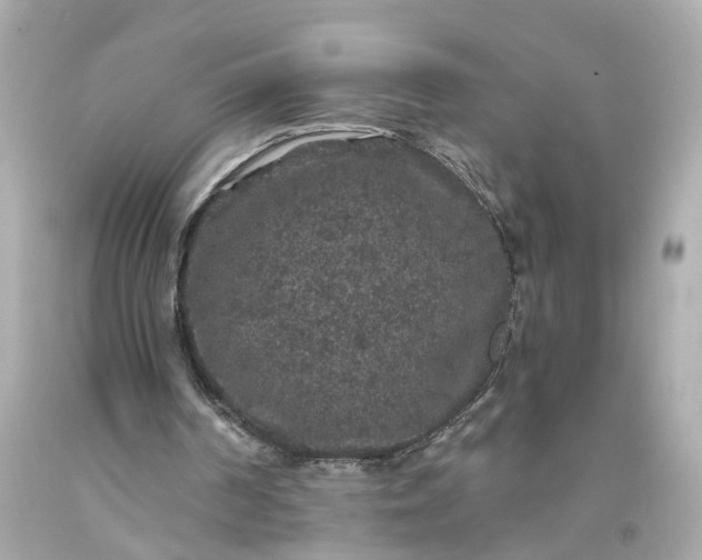 X0000093580194200710291108