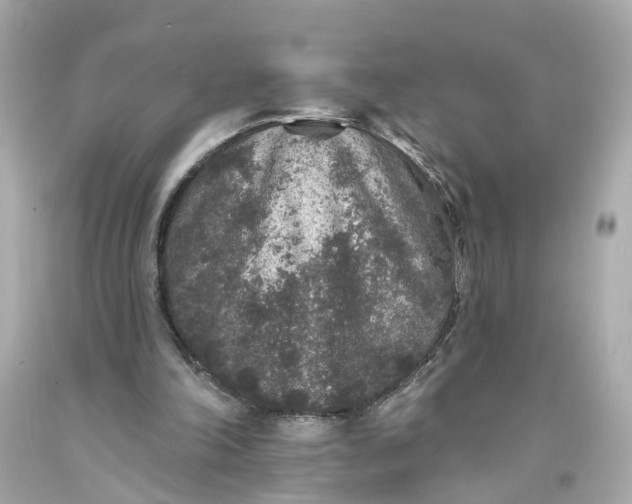 X0000093580198200710291108