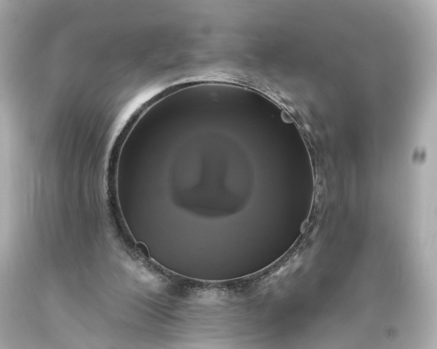 X0000093580200200710291108