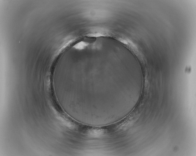 X0000093580202200710291108