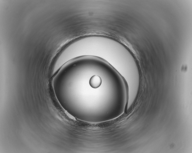 X0000093580203200710291108