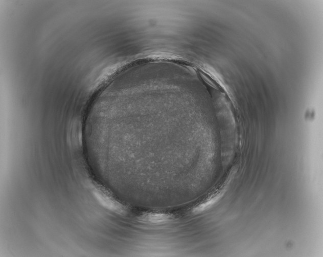 X0000093580205200710291108