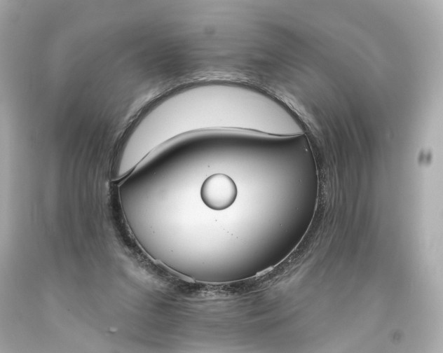 X0000093580207200710291108