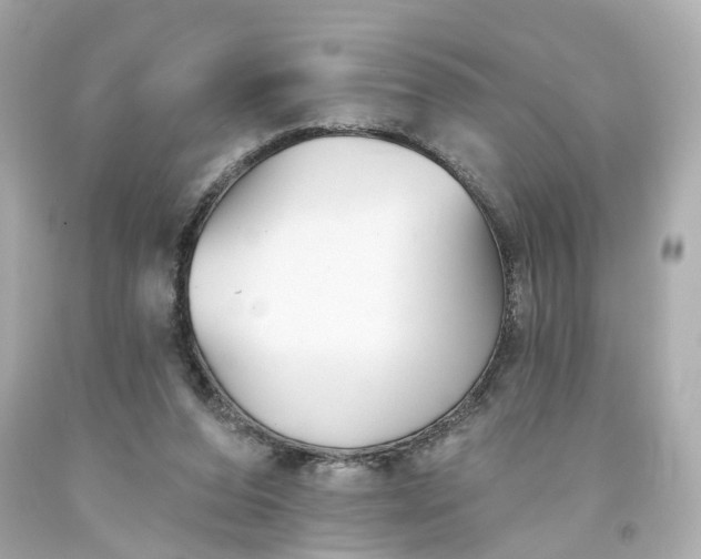 X0000093580208200710291108