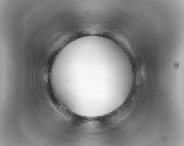 X0000093580210200710291108