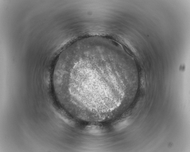 X0000093580211200710291108