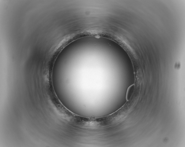 X0000093580212200710291108