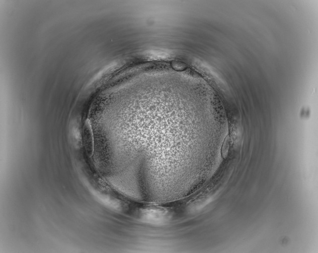 X0000093580215200710291108