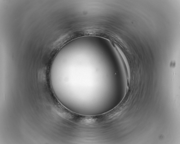 X0000093580217200710291108