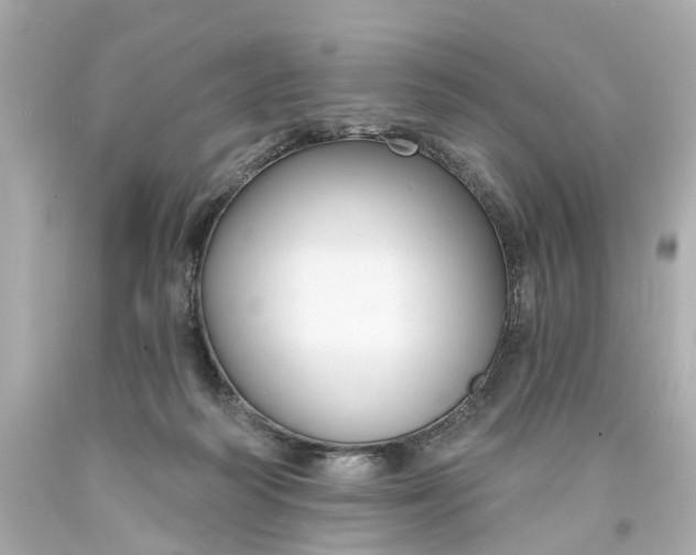 X0000093580218200710291108