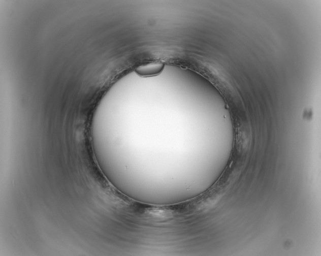 X0000093580221200710291108