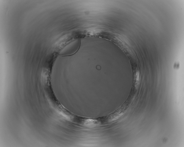 X0000093580222200710291108