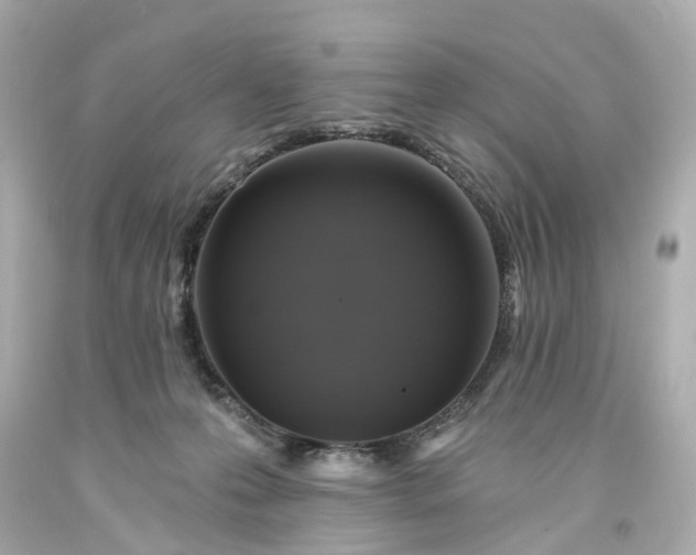 X0000093580223200710291108