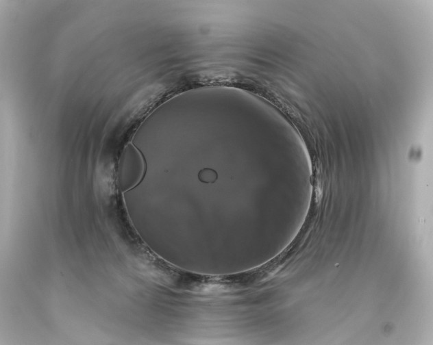 X0000093580224200710291108