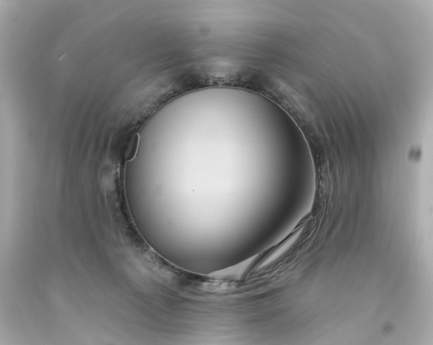 X0000093580225200710291108