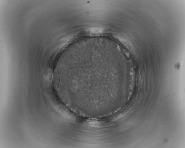 X0000093580228200710291108