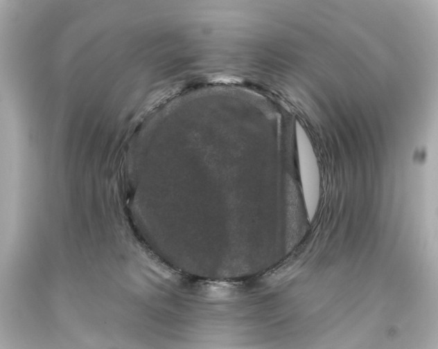 X0000093580229200710291108