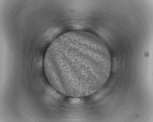 X0000093580230200710291108