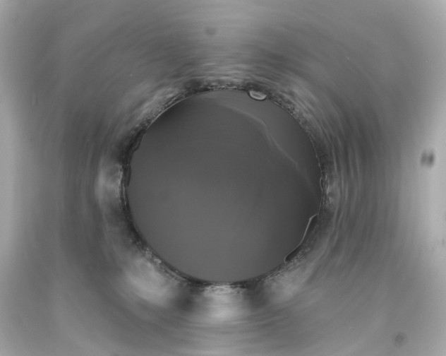 X0000093580231200710291108