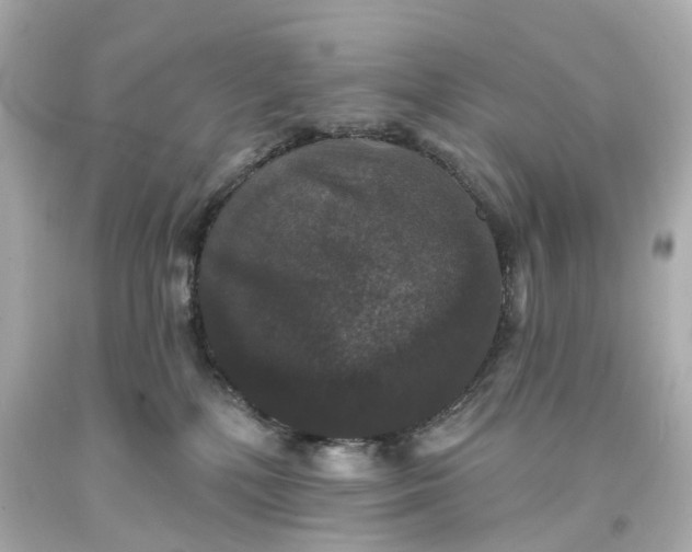 X0000093580232200710291108