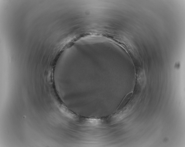 X0000093580233200710291108