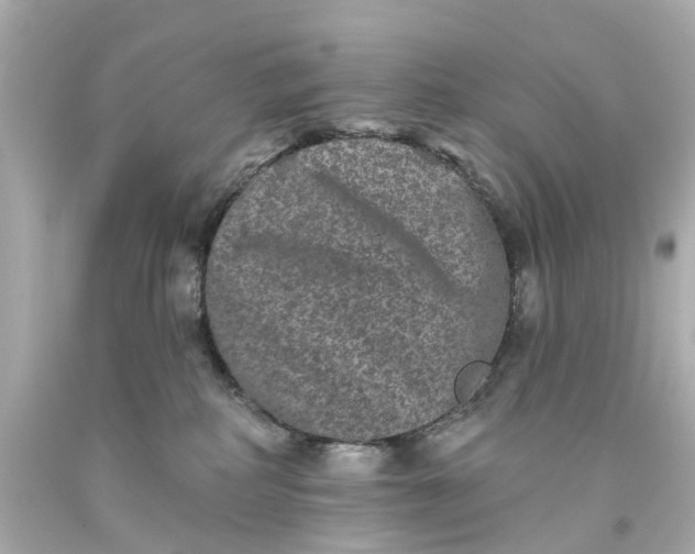 X0000093580234200710291108