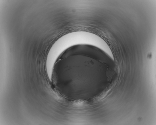 X0000093580235200710291108