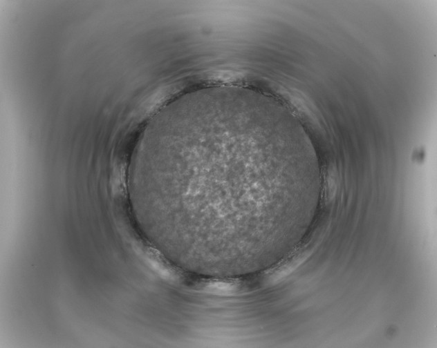 X0000093580236200710291108