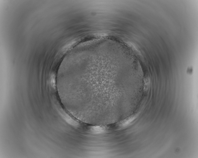 X0000093580238200710291108