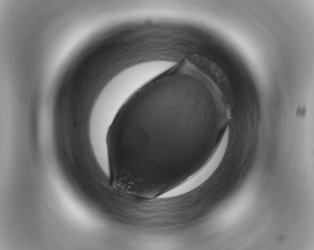 X0000093580239200710291108