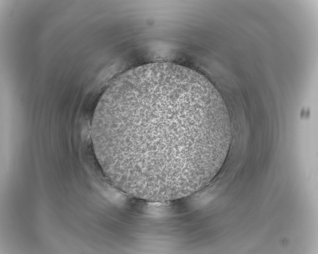 X0000093580240200710291108