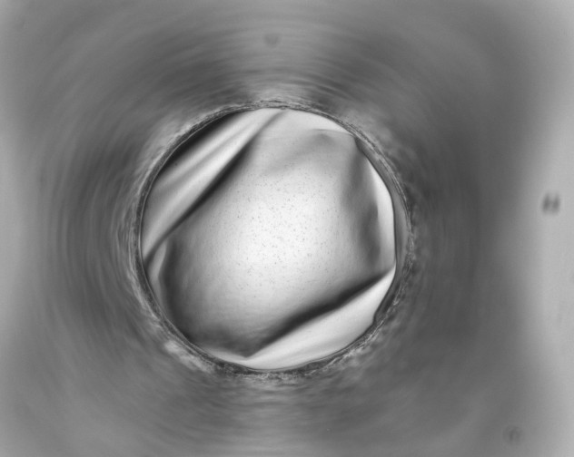 X0000093580241200710291107