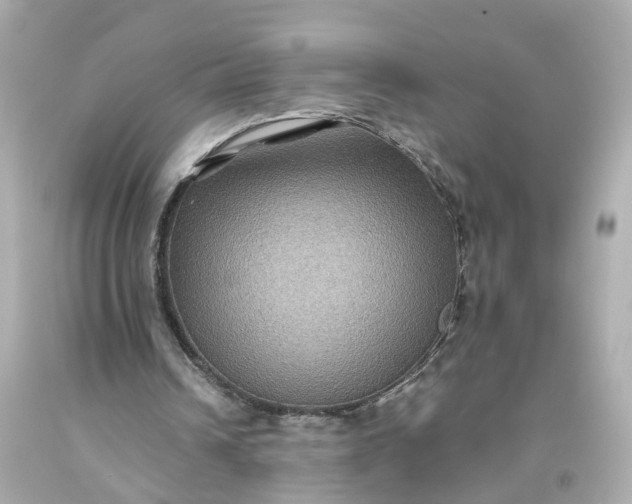 X0000093580242200710291107