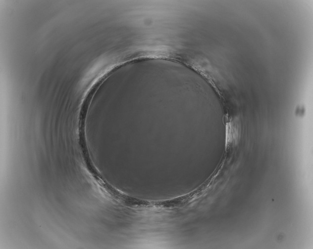 X0000093580243200710291107