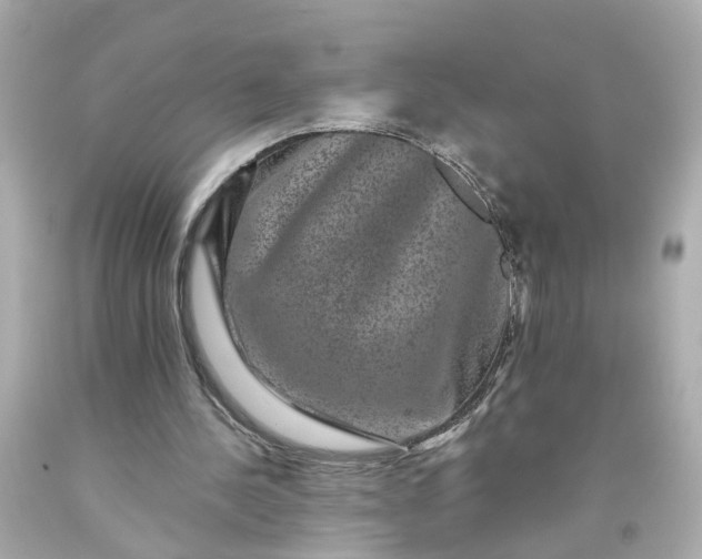 X0000093580244200710291107