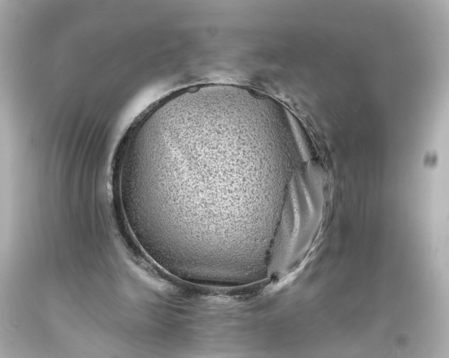 X0000093580246200710291107