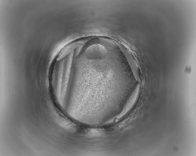 X0000093580248200710291107