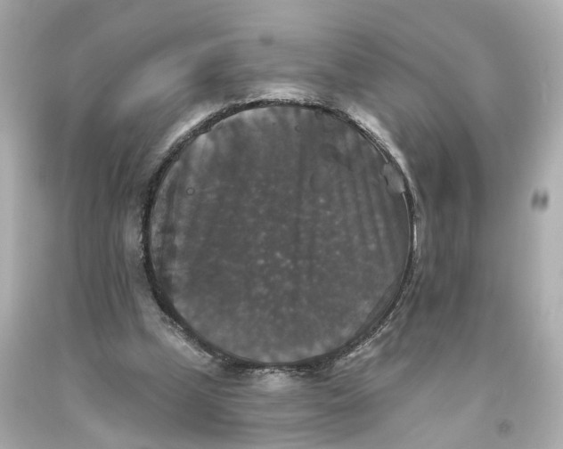 X0000093580249200710291107