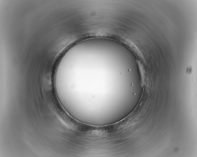 X0000093580251200710291107